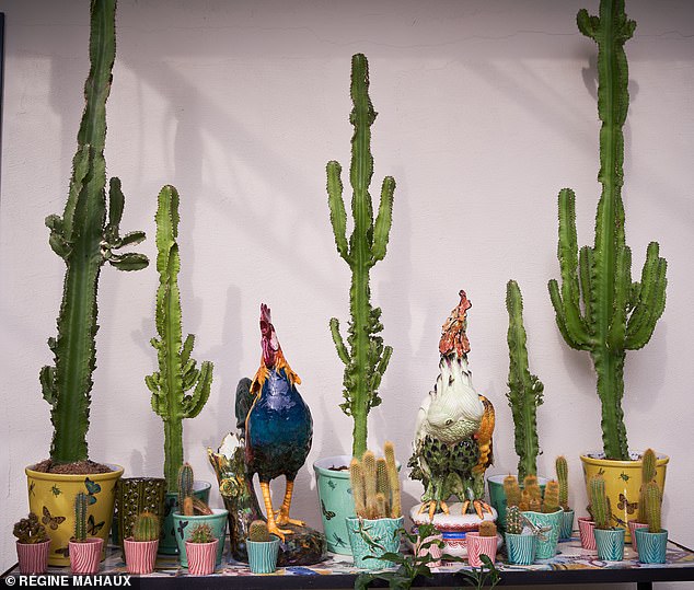 The cacti are leftovers from a party De Gunzburg hosted in the salon d¿hiver to mark the launch of Soleil Piquant, one of her favourite fragrances, which has notes of cactus water. Try patchplants.com for a wide selection